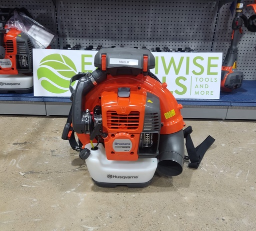 580BTS Leaf Blower 970499101 SN 20241600269 D3
